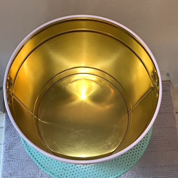 Gold FEED ME Large Fringe Pet Food Storage Tin With Lid - Picture 7 of 15